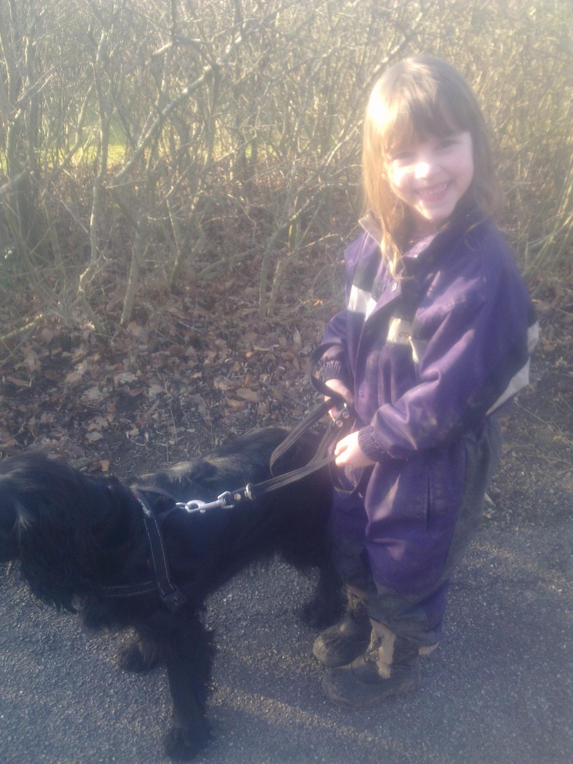 Cocker spaniel Bella - Ehlana og Bella går tur billede 6