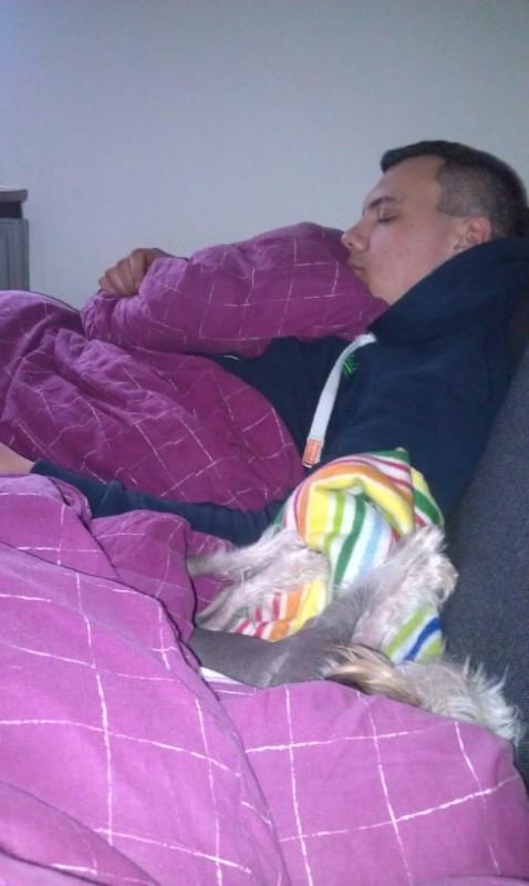 Chinese crested hårløs Mille - Endnu en der vil sove på sofaen med mig:) billede 13