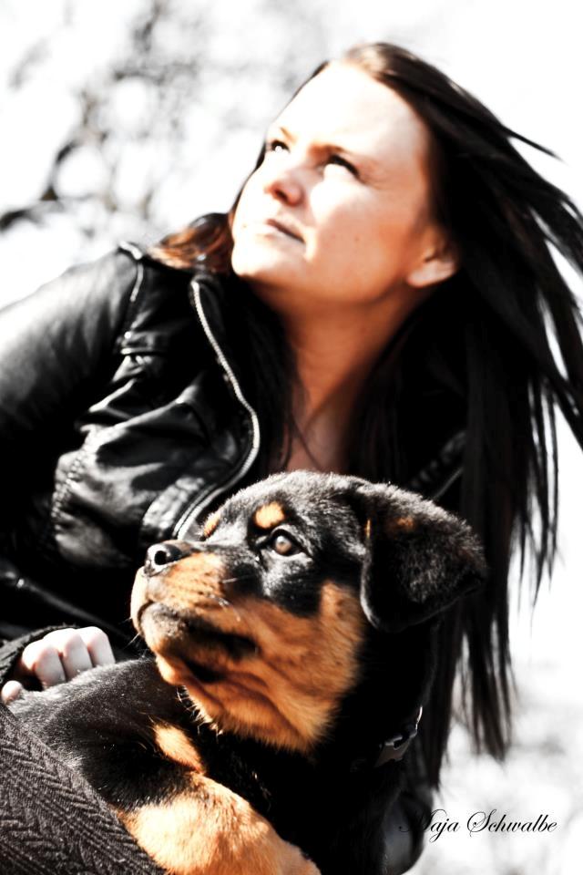 Rottweiler Emma billede 12