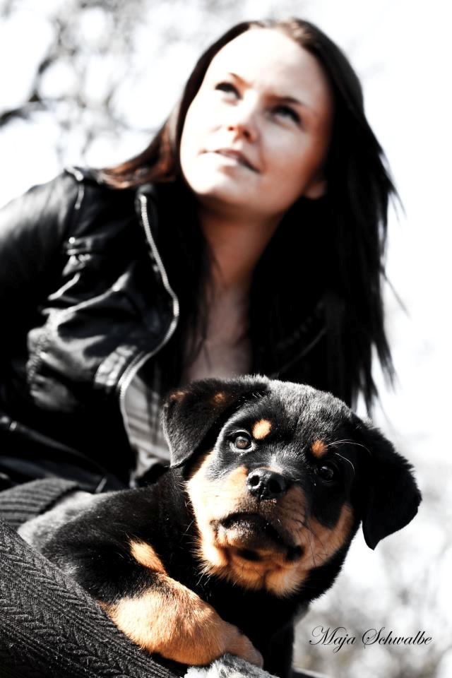 Rottweiler Emma billede 16