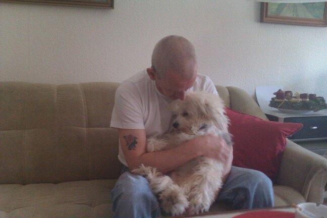 Chinese crested powder puff Cassidyis Axel billede 5