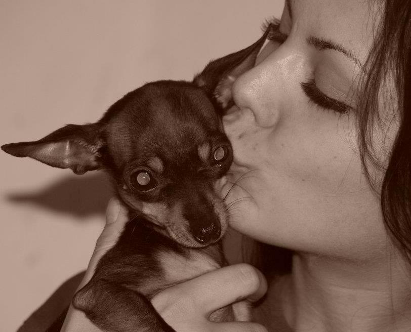 Prazsky krysarik ab PEPSI  billede 1