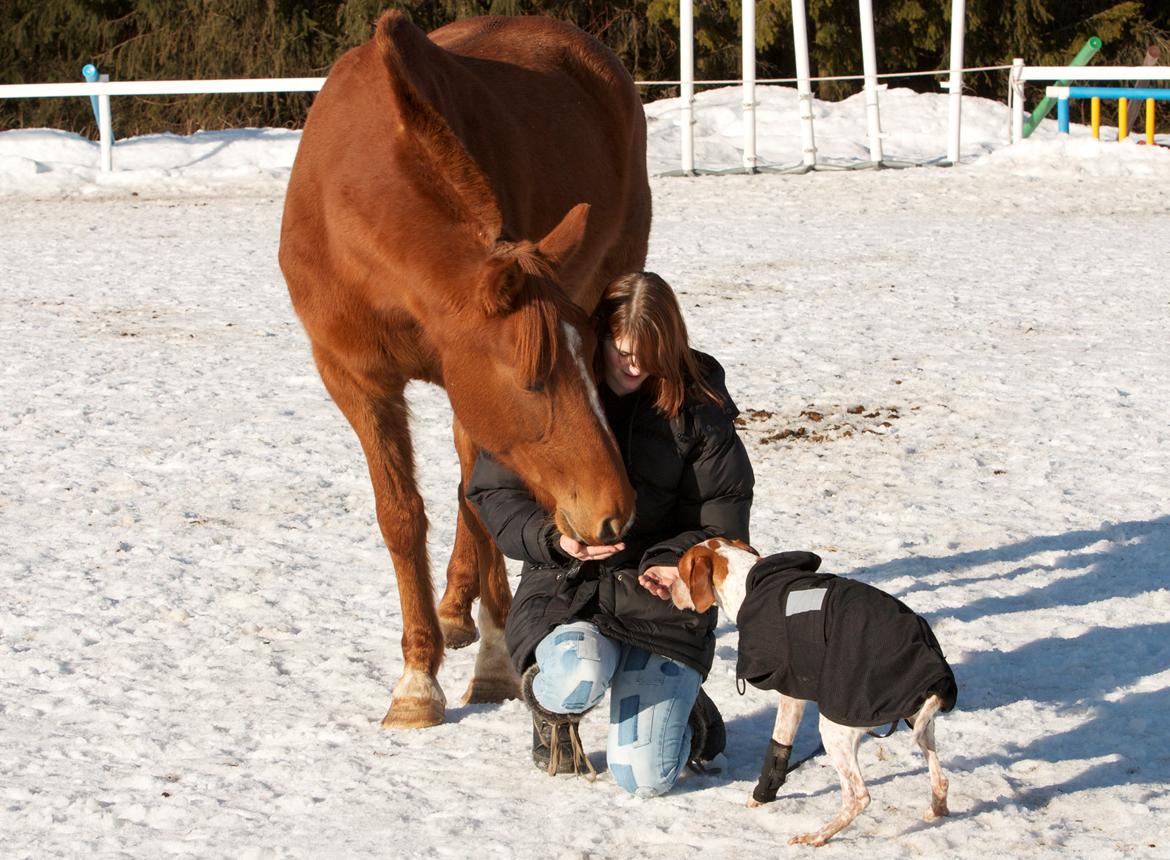 Blanding af racer Tazman - Februar 2012 billede 19