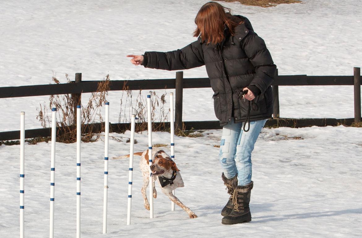 Blanding af racer Tazman - Februar 2012 billede 20
