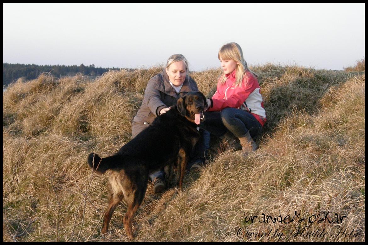 Blanding af racer Oskar R.I.P billede 4