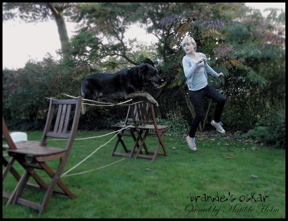 Blanding af racer Oskar R.I.P - Den bedste springvaps! <3 billede 12