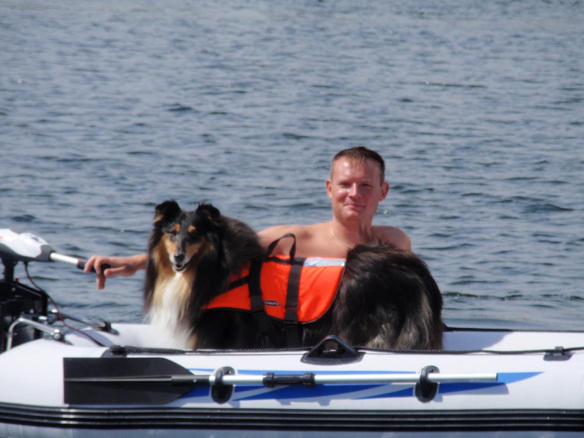 Collie langhåret Santos (himmelhund) - Santos med far i gummibåd. billede 7