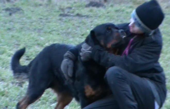 Rottweiler Hobie Vom Hause Luna - Er der noget vi er, så er det bedste venner ! Og vi vil altid være der for hinanden, det ved jeg !<3 billede 12