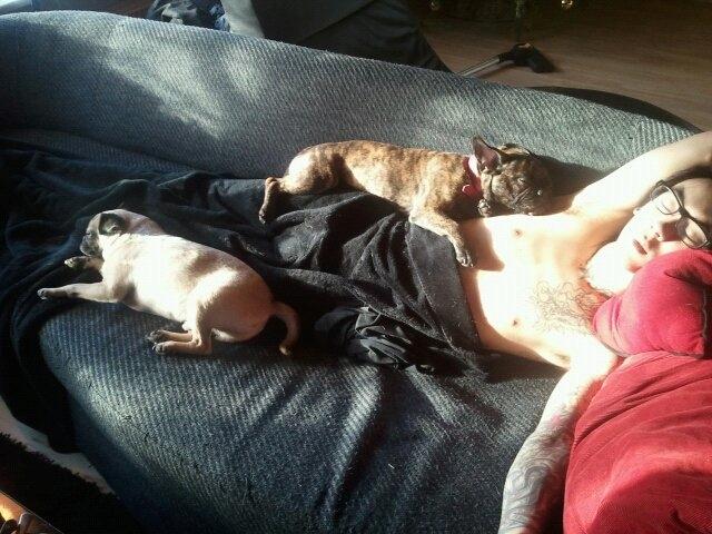 Blanding af racer Alberte Aviaya - Aya billede 17