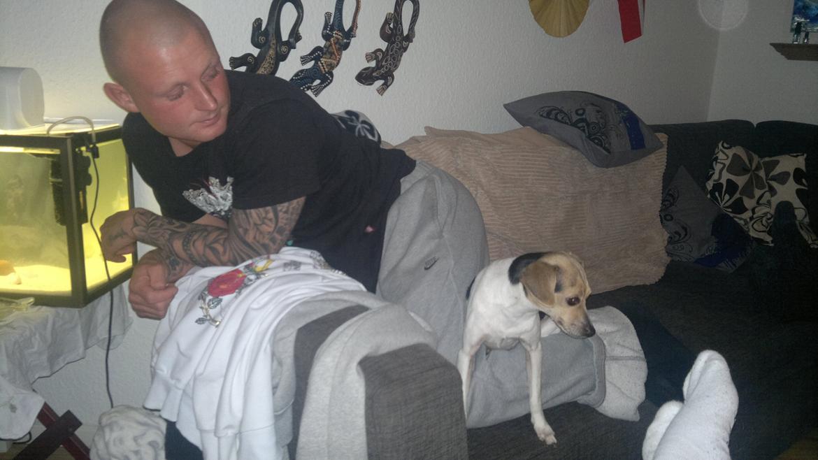 Dansk svensk gaardhund Samba - Vild med far<3 billede 6