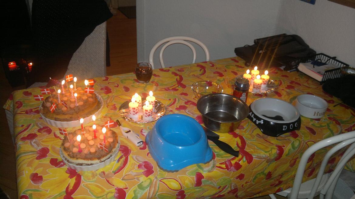 Dansk svensk gaardhund Samba - 4 Hunde, 6 mennesker og 2 dejlige leverpostejslagkager med partypølser ;) Ja tak.. Ingen gik sultene hjem ;) billede 10