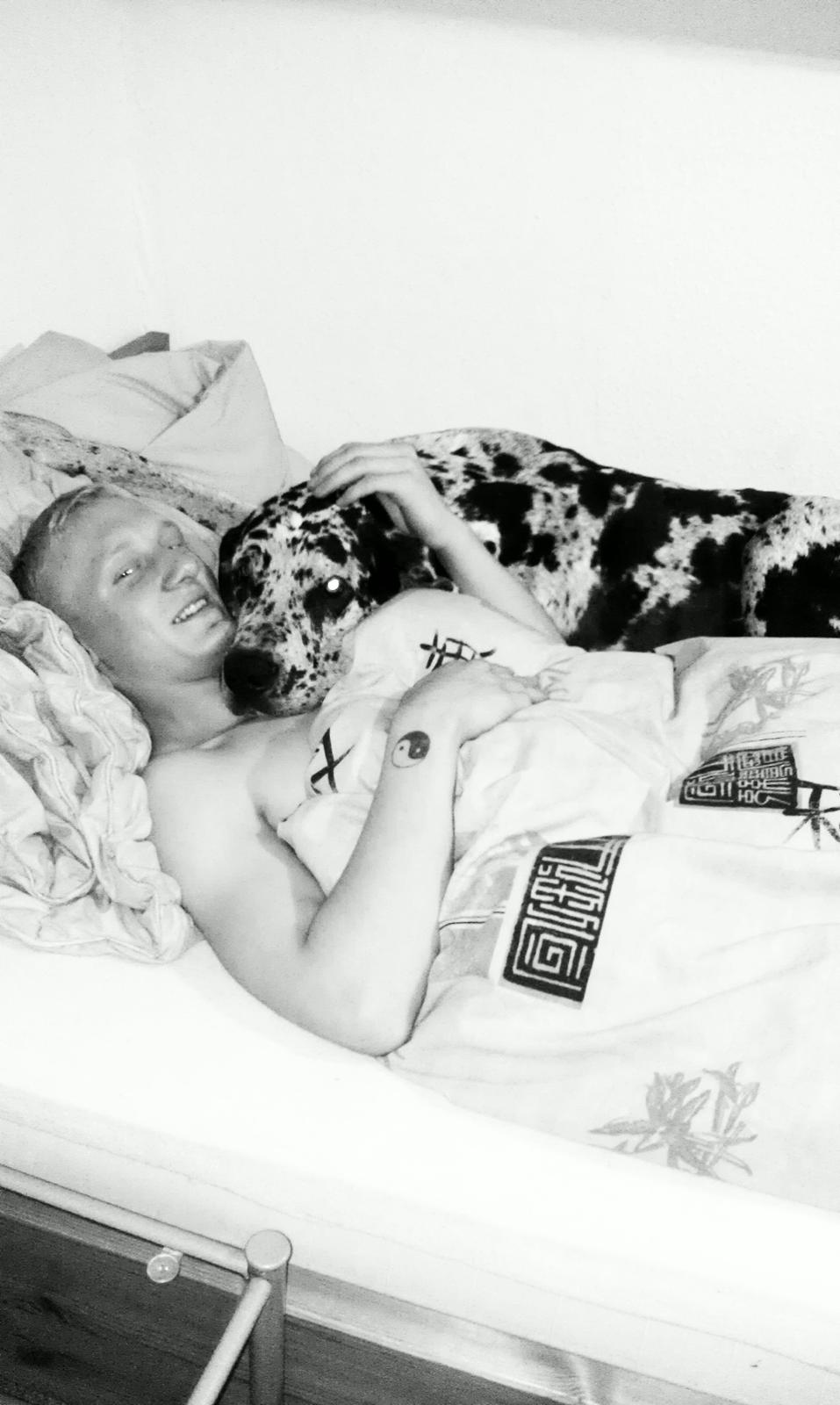 Grand danois Kawa billede 12