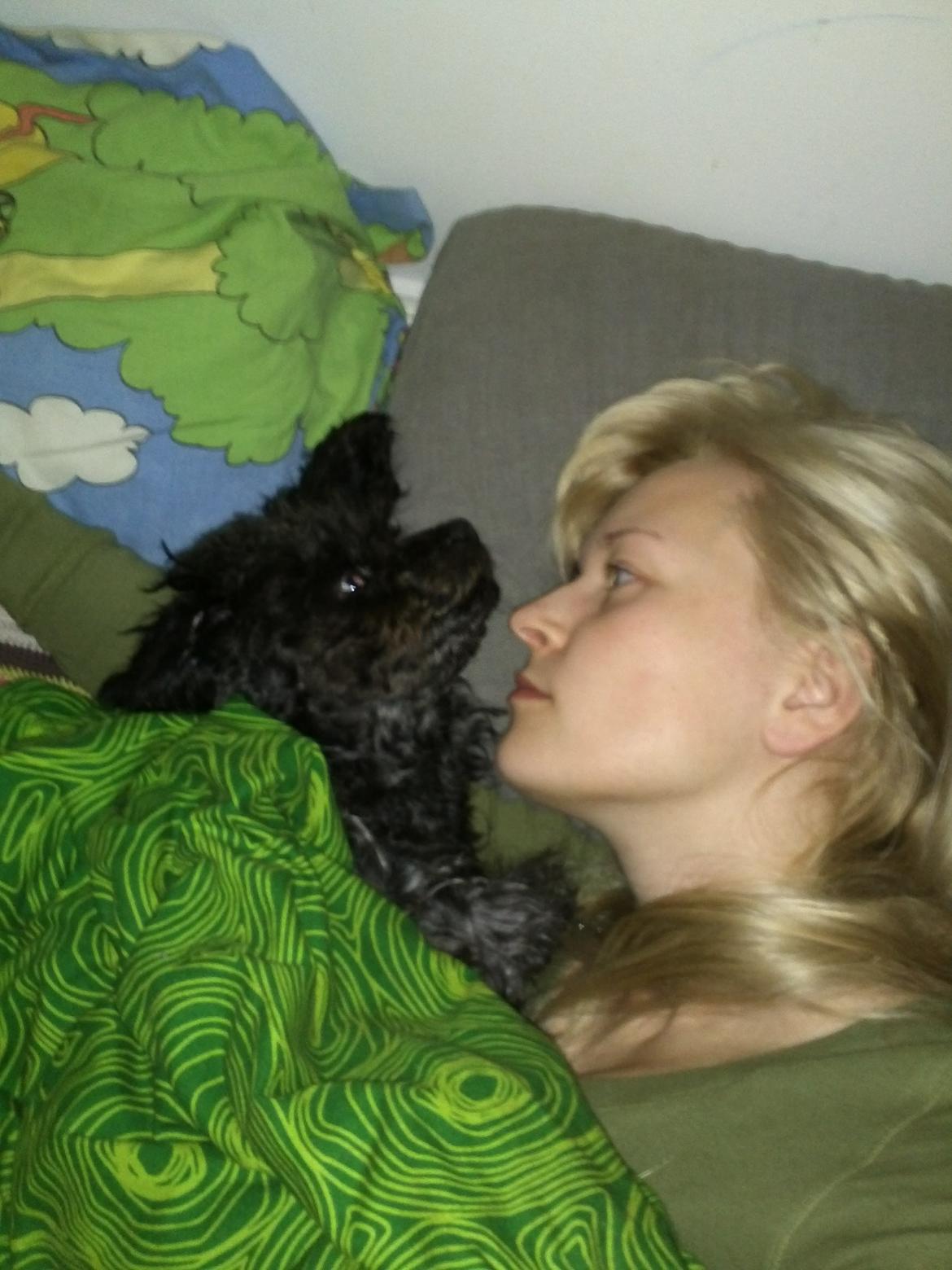 Blanding af racer "Græske" Rita billede 15