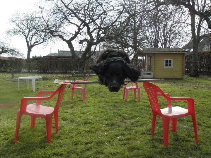 Breton Loke billede 17