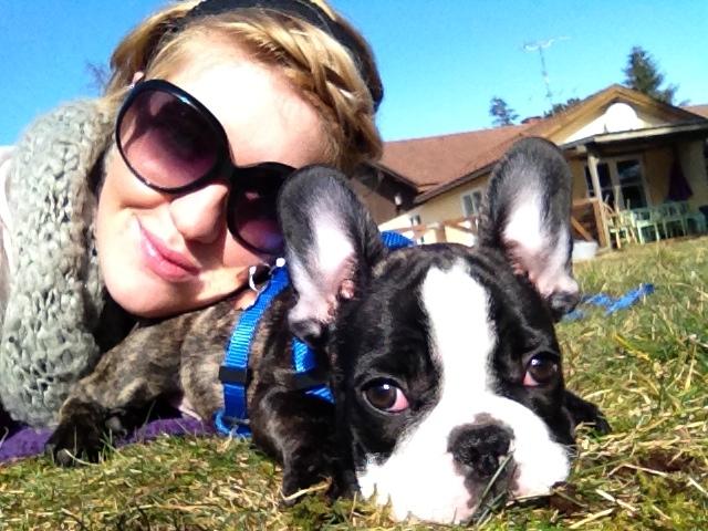 Fransk bulldog Batman' <3 - Batman '<3 billede 10