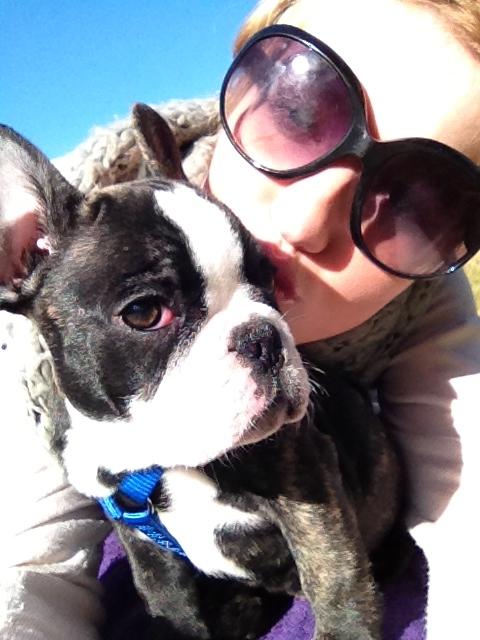 Fransk bulldog Batman' <3 - Batman '<3 billede 12