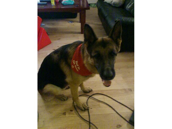 {{currentPhoto.altText}} billede {{currentPhoto.number}}