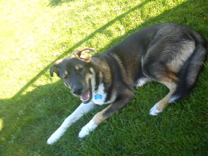 {{currentPhoto.altText}} billede {{currentPhoto.number}}