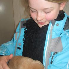 Blanding af racer Marley