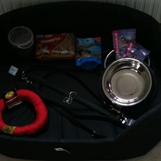 American Akita Mufti