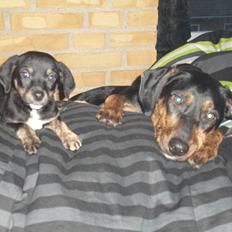 Blanding af racer Maloou <3