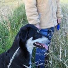 Blanding af racer Joy