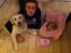 Chihuahua Phoebe - Christian, Disney & Phoebe