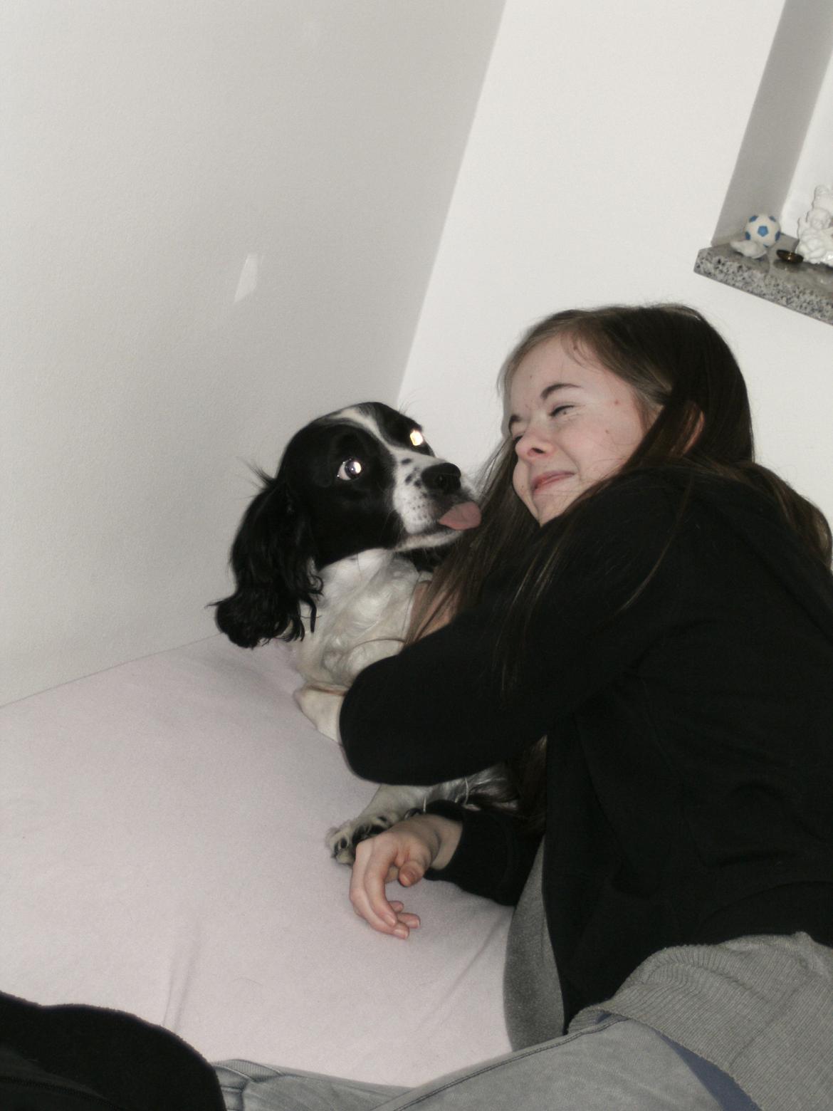 Field Trial spaniel Sif billede 16