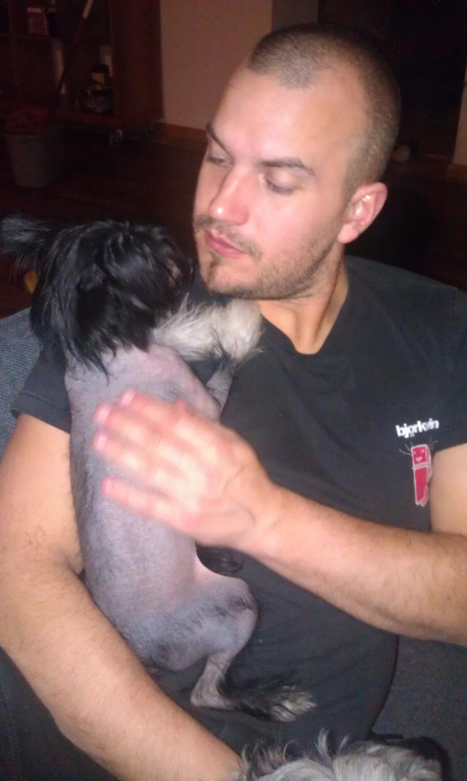 Chinese crested hårløs NuuNu billede 4