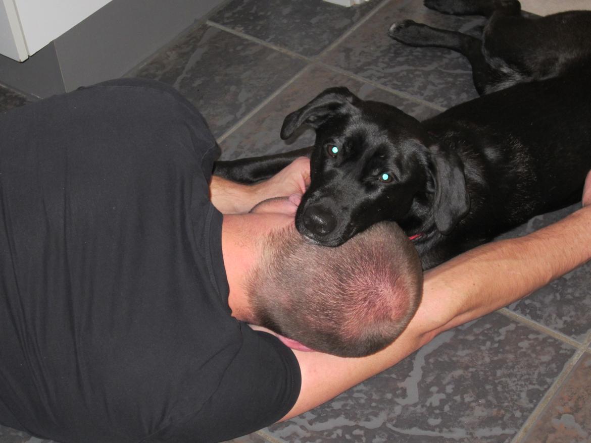 Blanding af racer Vicki - Vores allesammens øjesten! Her ligger Vicki & putter sammen med min papmor Hannes søn, Morten! :)  billede 12