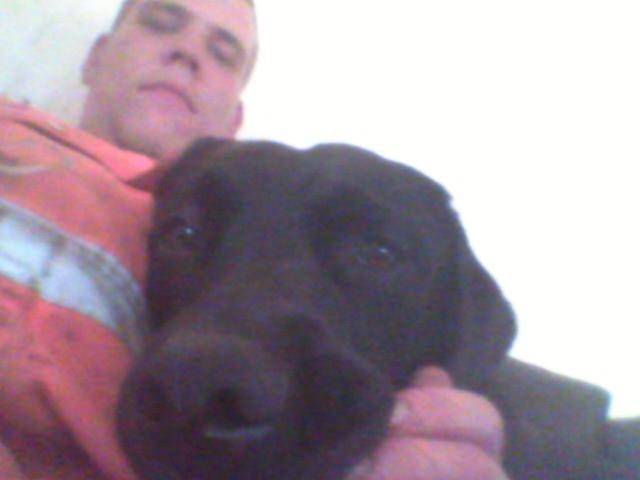 Blanding af racer Dennis billede 12