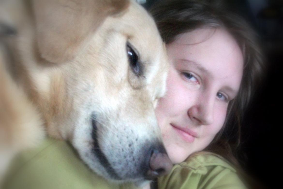 Labrador retriever Terry - Only dogs love you more than they love themselves<3 (Foto: Mig) billede 19