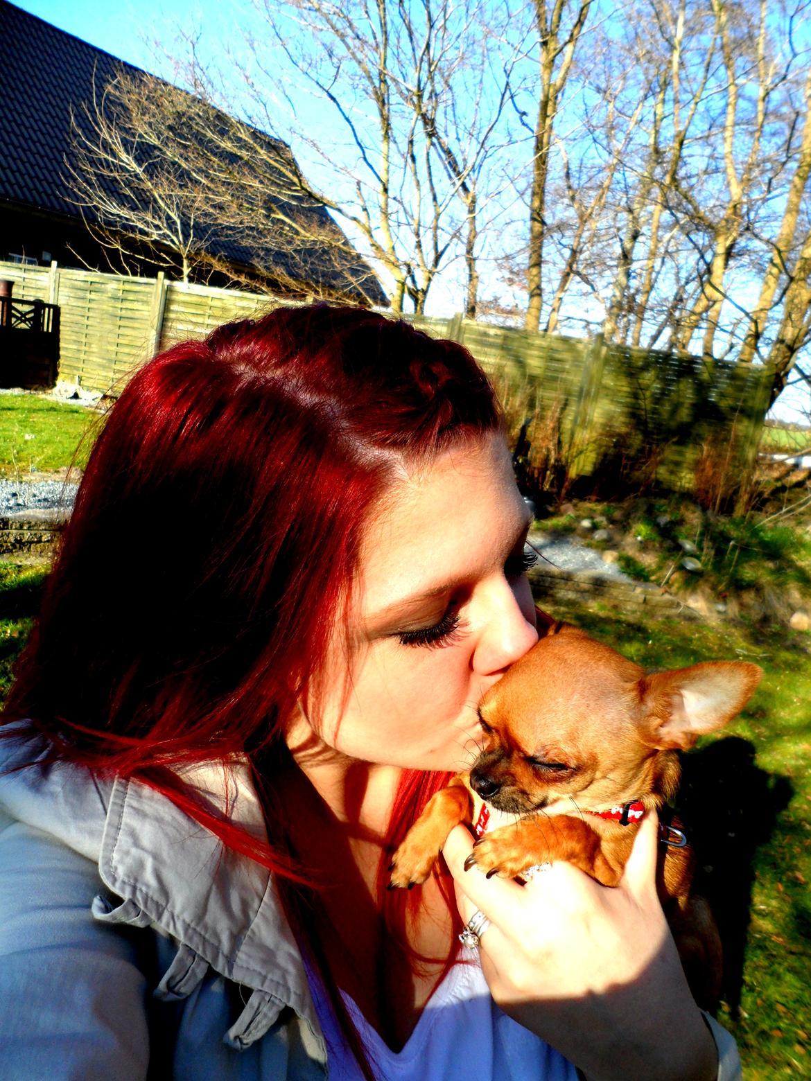 Chihuahua Chloie (DØD) - Mig og min mors kærlighed, er så stor til hinanden !<3 billede 18