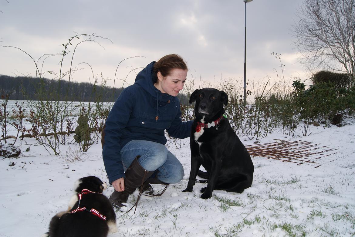Blanding af racer Ida - trine hvorfor, har du taget en lille rotte med hjem til mig, andre ville bare have givet mig et kødben (dagen efter mille var kommet hjem )  billede 7