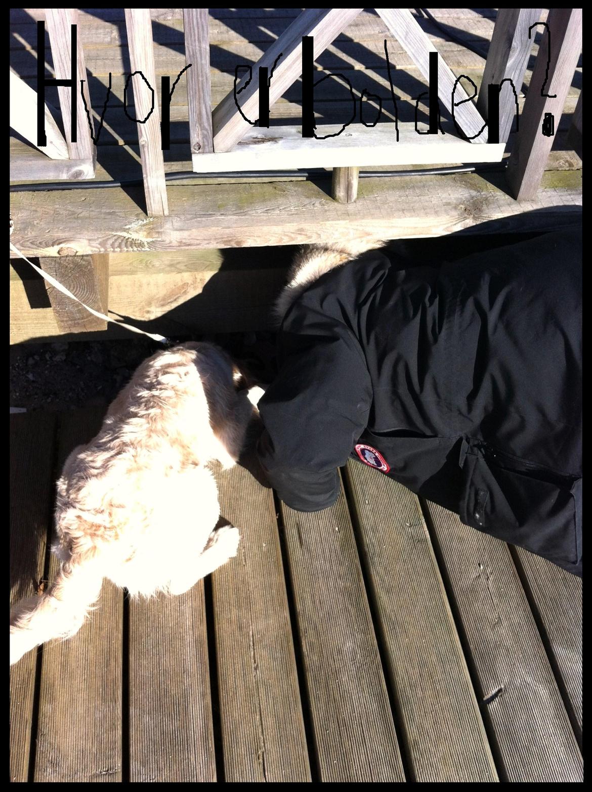 Blanding af racer Disney - bolden blev væk! billede 9