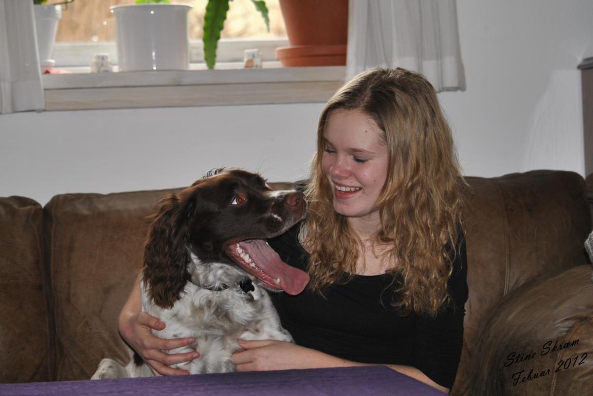 Engelsk springer spaniel Hannibal<3 - Hannibal & min dejlige ven Rikke<3 billede 12