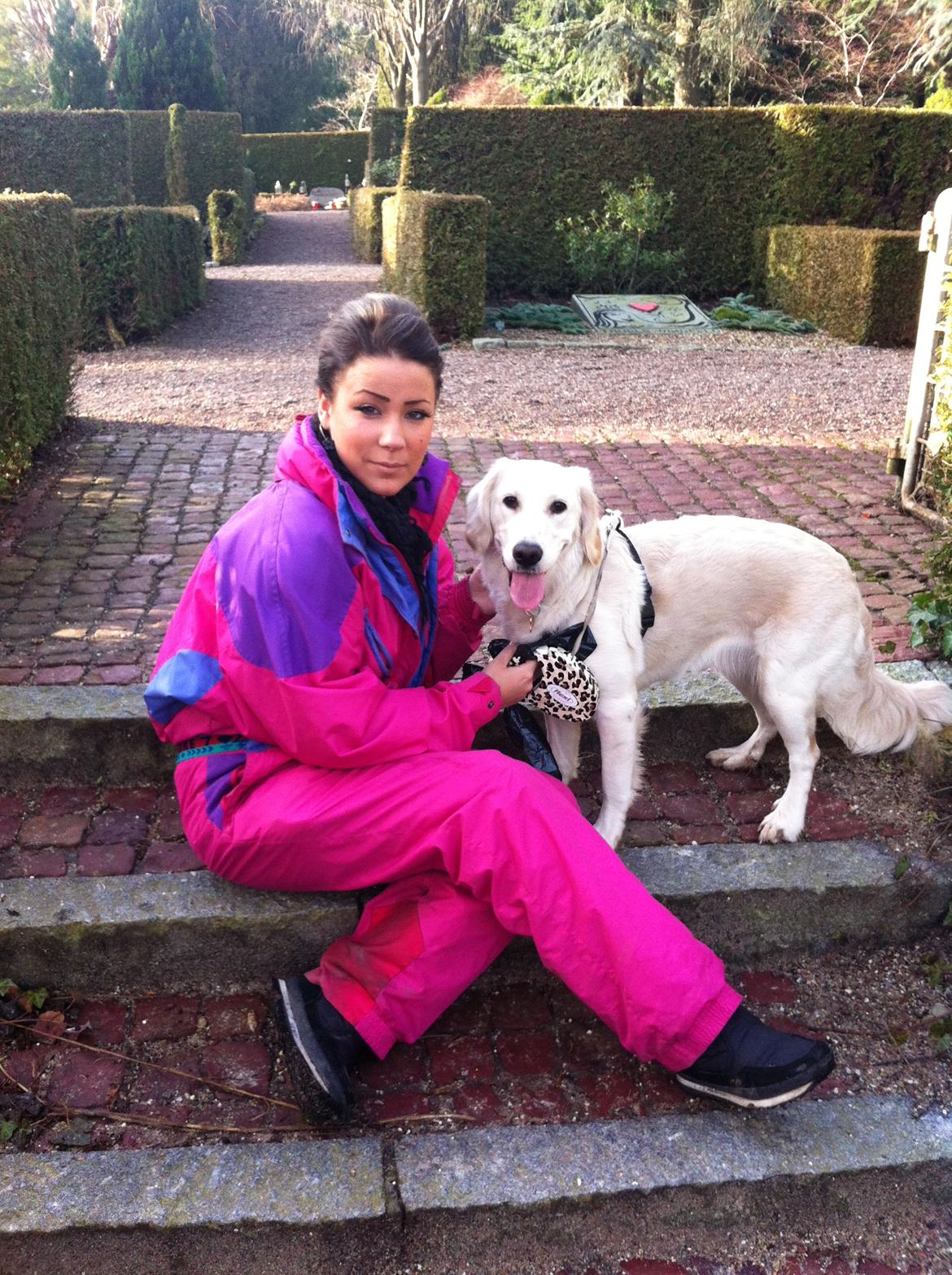 Blanding af racer Disney - tur på kirkegården i januar billede 11