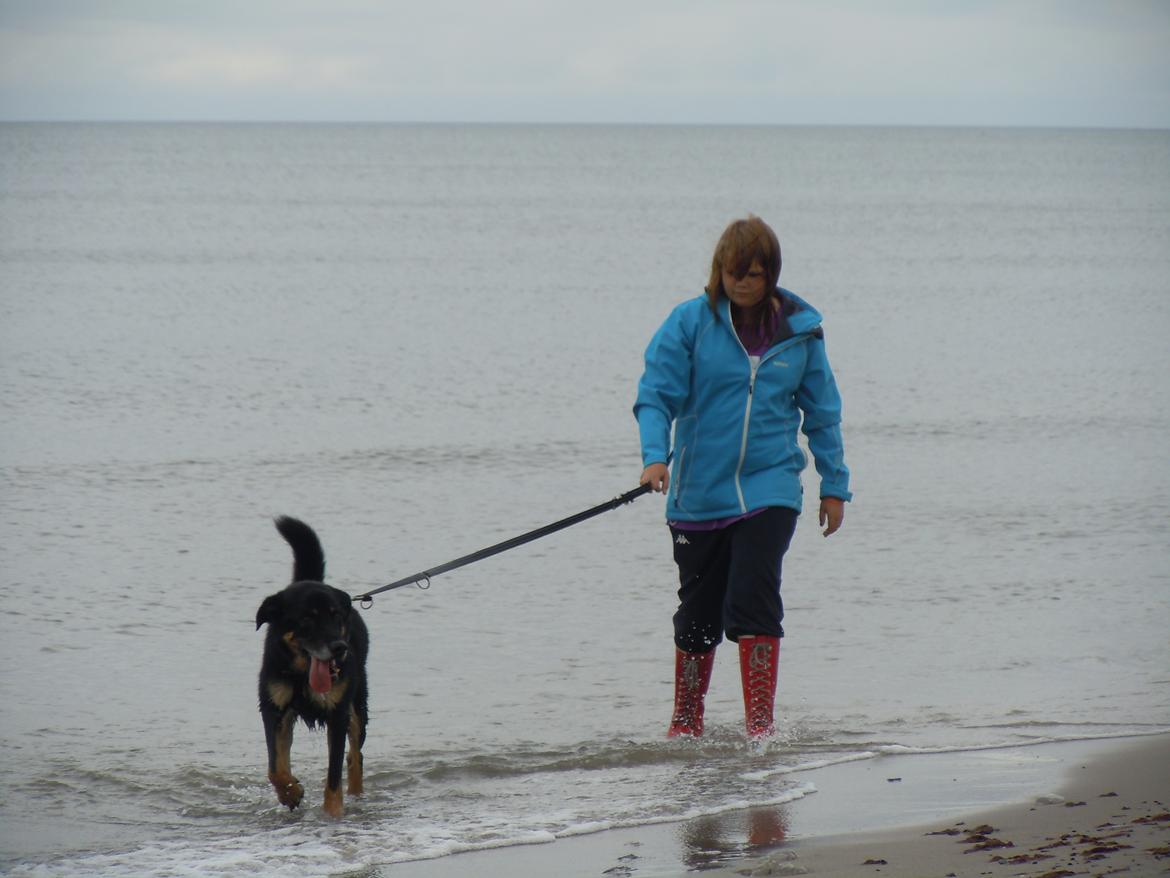 Blanding af racer Kovo <3 - Jeg ved godt jeg ser sur ud xD! billede 16