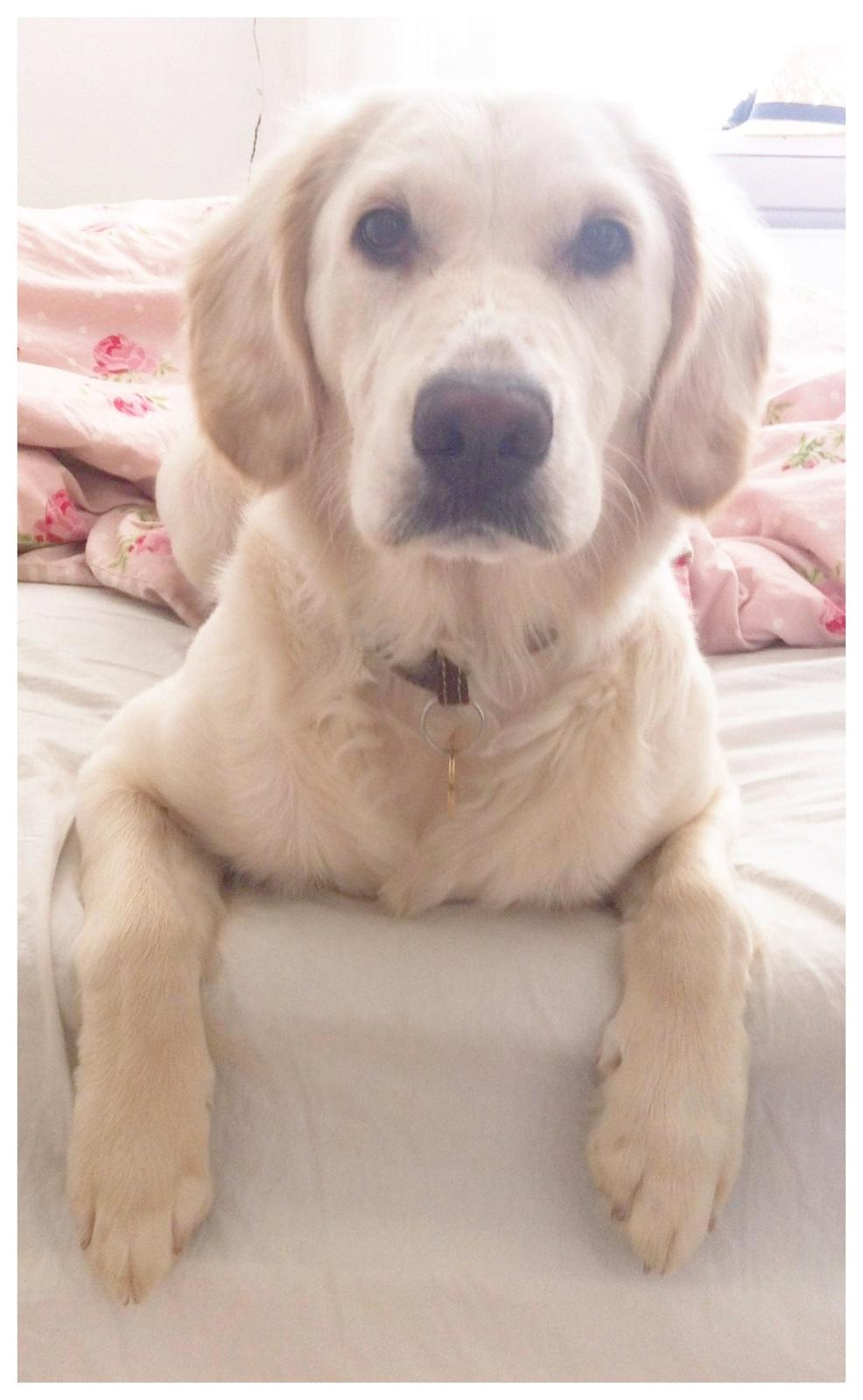 Blanding af racer Disney - Disney 1 år <3 billede 1