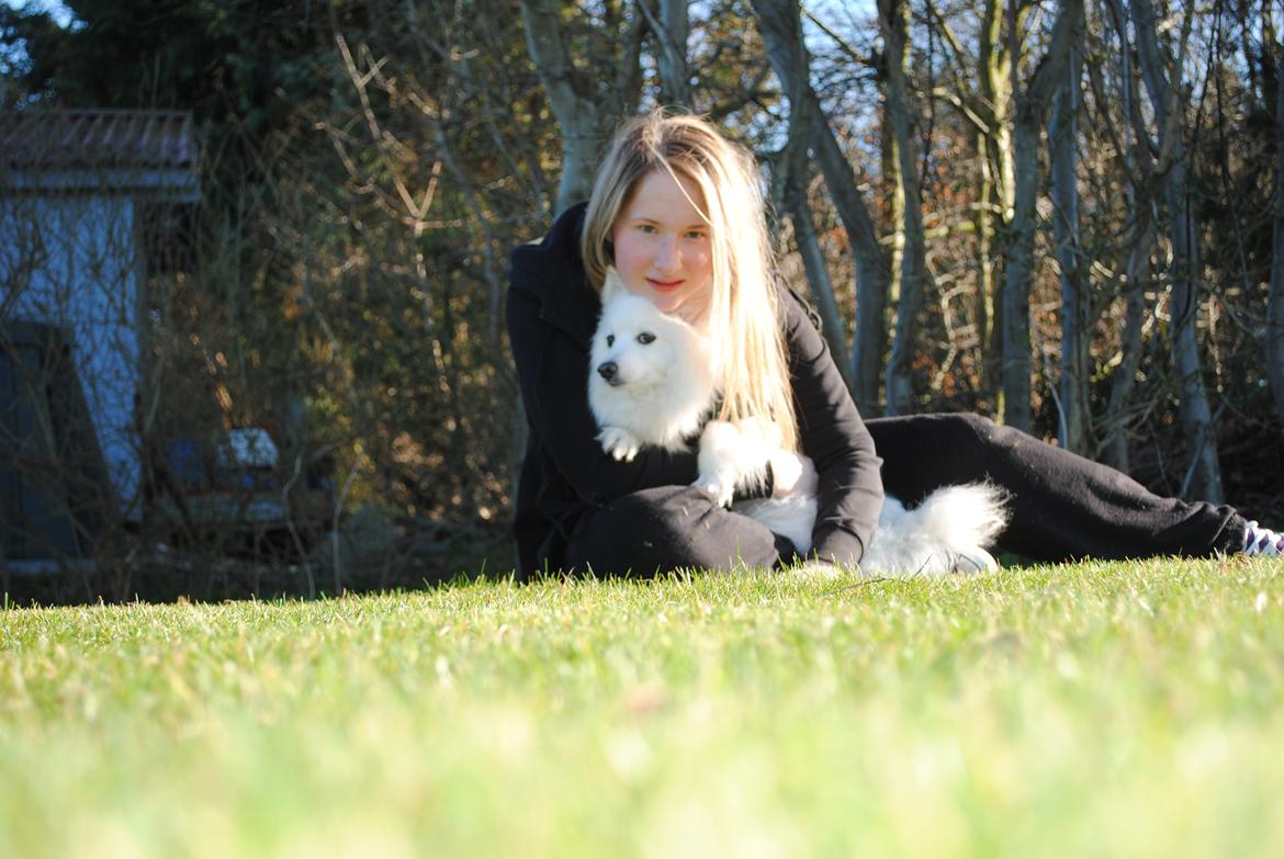 Japansk spids Kookoo - Hygge <3 billede 2