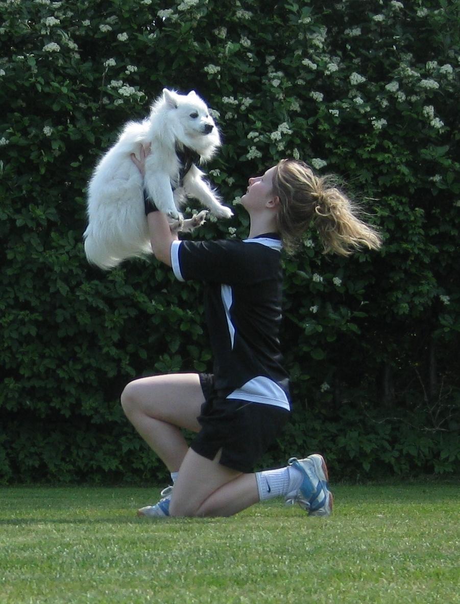 Japansk spids Kookoo - Sommer 2011 <3 billede 7