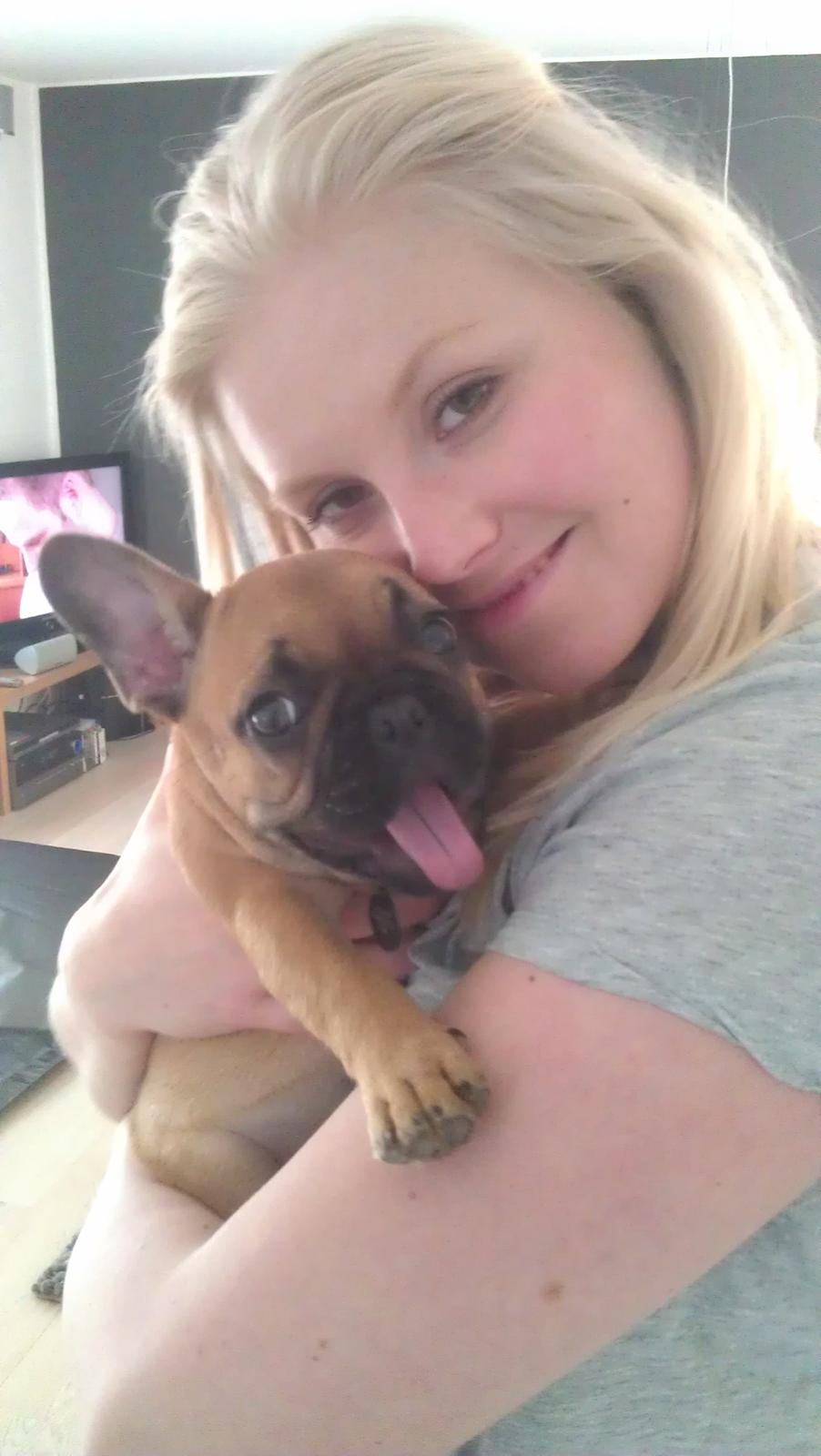 Fransk bulldog Agnes billede 12