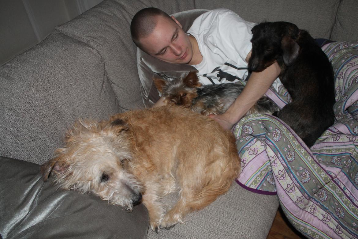 Gravhund Atempo's Yana (Jarna) - Hygge en lørdagaften :) Alva, Jarna, Waldemar og min kæreste. :) billede 6