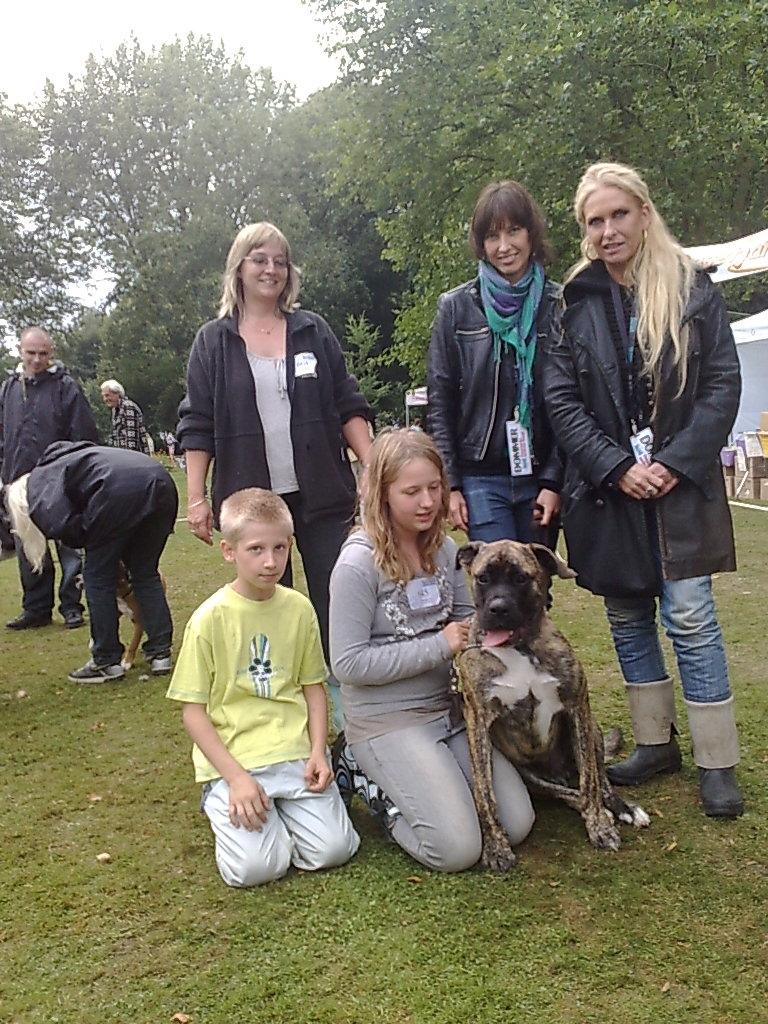 Blanding af racer Grand Danois/Mastif Tigerdyr - Tigerdyr deltog i konkurrencen som Danmarks sødeste hund på Gavnø og blev valgt som en af  de 10 sødeste. billede 5