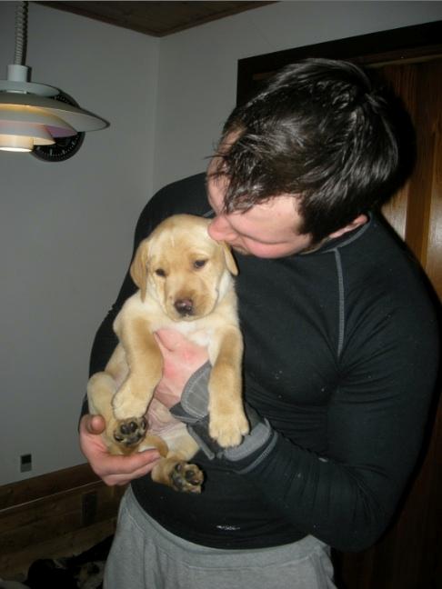 Blanding af racer Zeus - 6 uger. Første gang min kæreste holde vores Zeus <3 billede 8