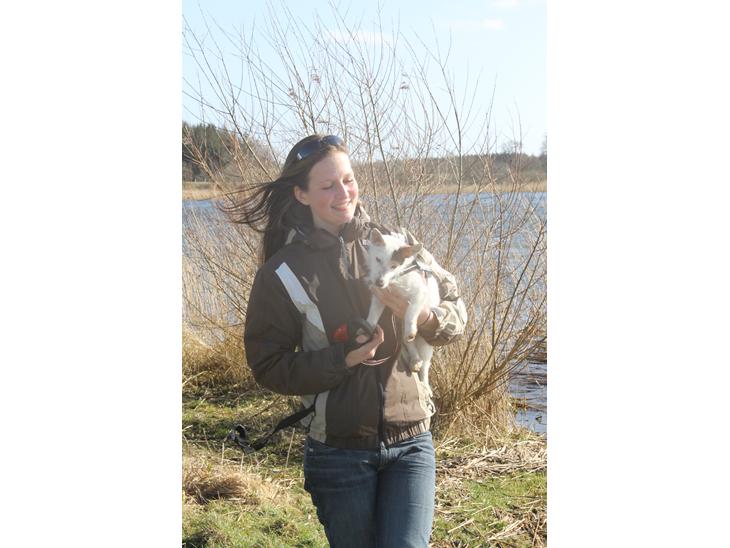 {{currentPhoto.altText}} billede {{currentPhoto.number}}