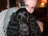 Cocker spaniel Carlo