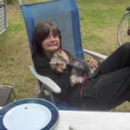 Yorkshire terrier Sio Fück Skod