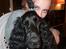 Cocker spaniel Carlo - Jeg giver store kraaam :)