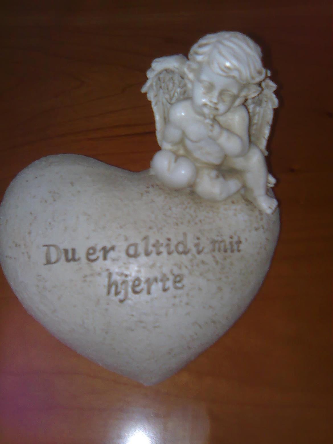 Cavalier king charles spaniel Lady DØD DEN 29 SEP 2011. billede 11